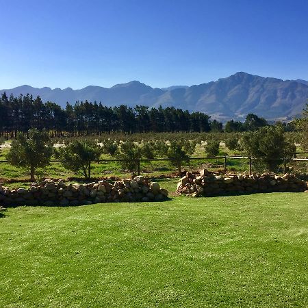 Olive Cottage Franschhoek Exterior photo