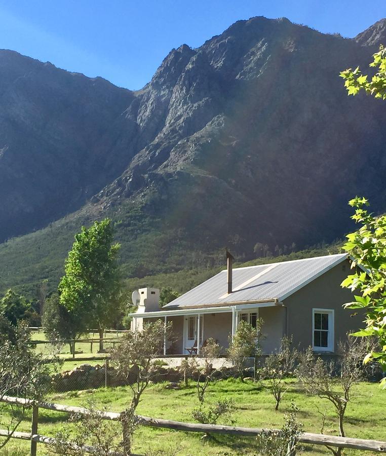 Olive Cottage Franschhoek Exterior photo